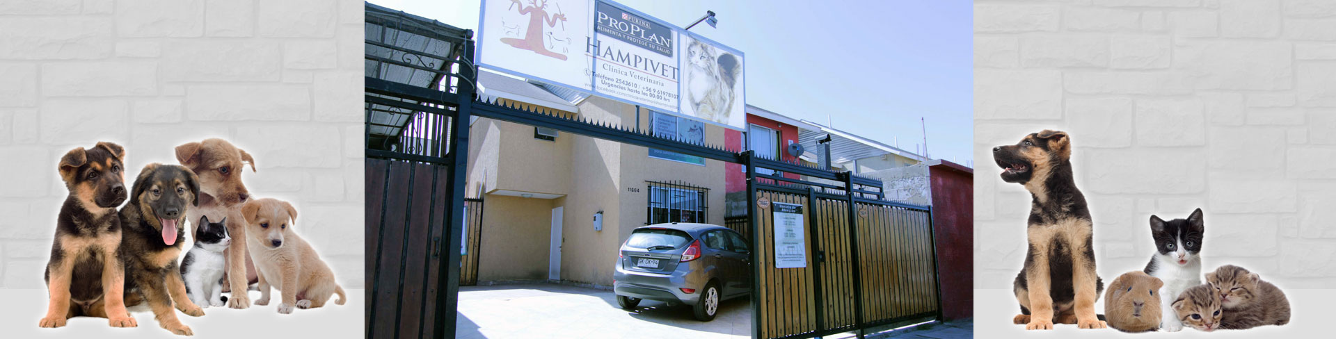 Hampivet Clínica Veterinaria