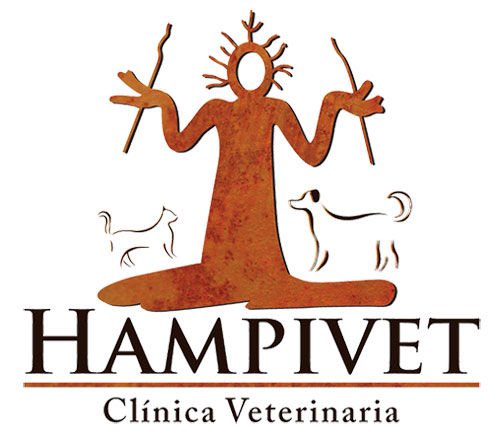 HAMPIVET Clínica veterinaria