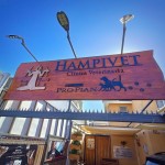 HAMPIVET Clínica veterinaria