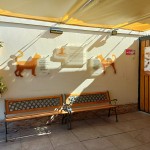 HAMPIVET Clínica veterinaria