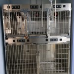 HAMPIVET Clínica veterinaria