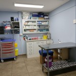 HAMPIVET Clínica veterinaria